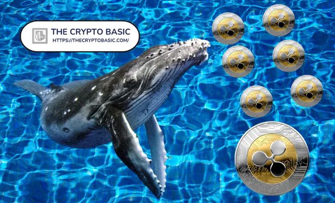 匿名鲸鱼转移了巨额XRP，一场数字货币的奇迹之旅