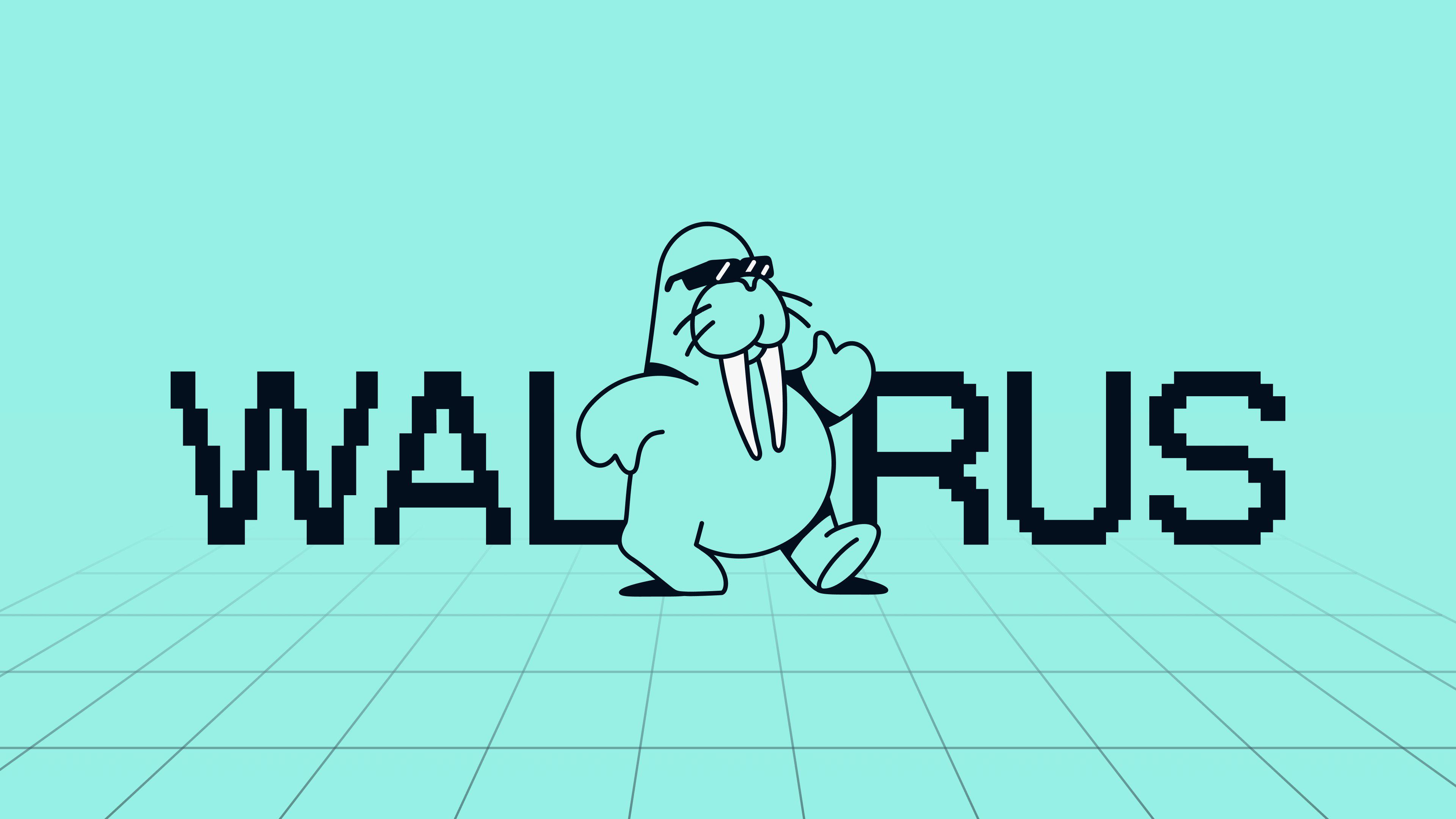 错过Walrus空投？这五个Sui生态项目不容错过！