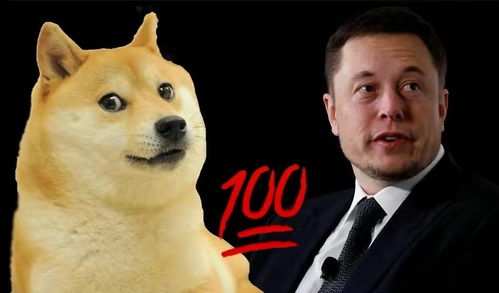 马斯克助力狗狗币热潮，DOGE挖矿迈入机构化时代？