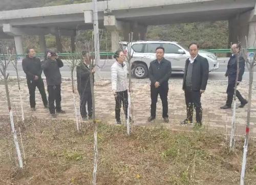加密货币的作用就像土地，而不是技术，这就是为什么它很奇怪|意见