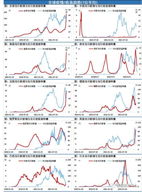 MNT价格突破面临造假担忧，但基本面保持强劲